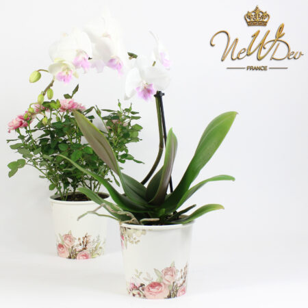 pot étanche en papier pour fleurs