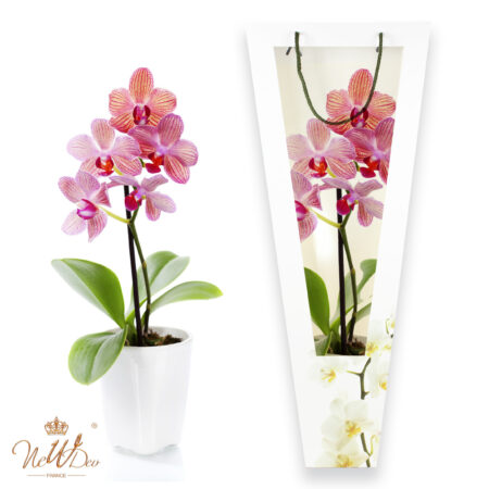 Sac pour orchidée
